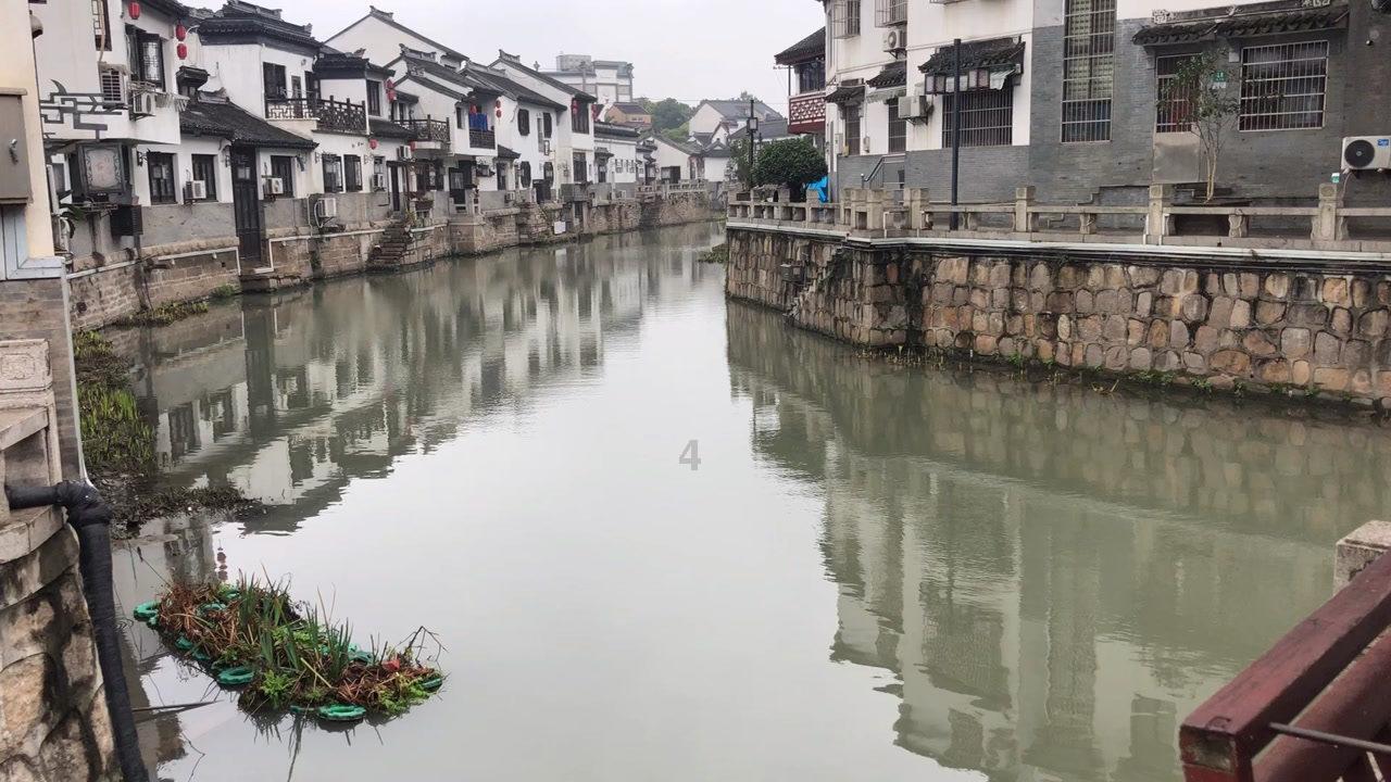 健美大赛